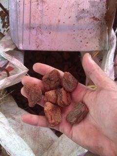 Vỏ Thông Xay bao