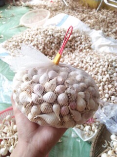 TỎI CÔ ĐƠN LÍ SƠN ( 500g)