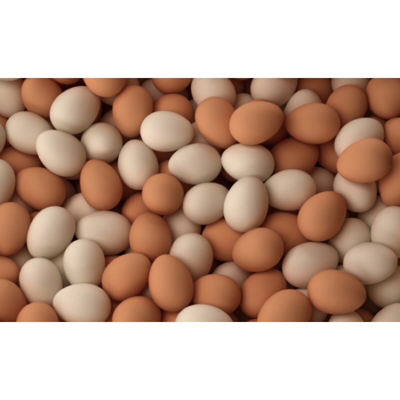 trứng gà,vịt,muối,bắc thảo tươi 10 trứng/vỉ trứng loại lớn,chỉ giao nowship,grab