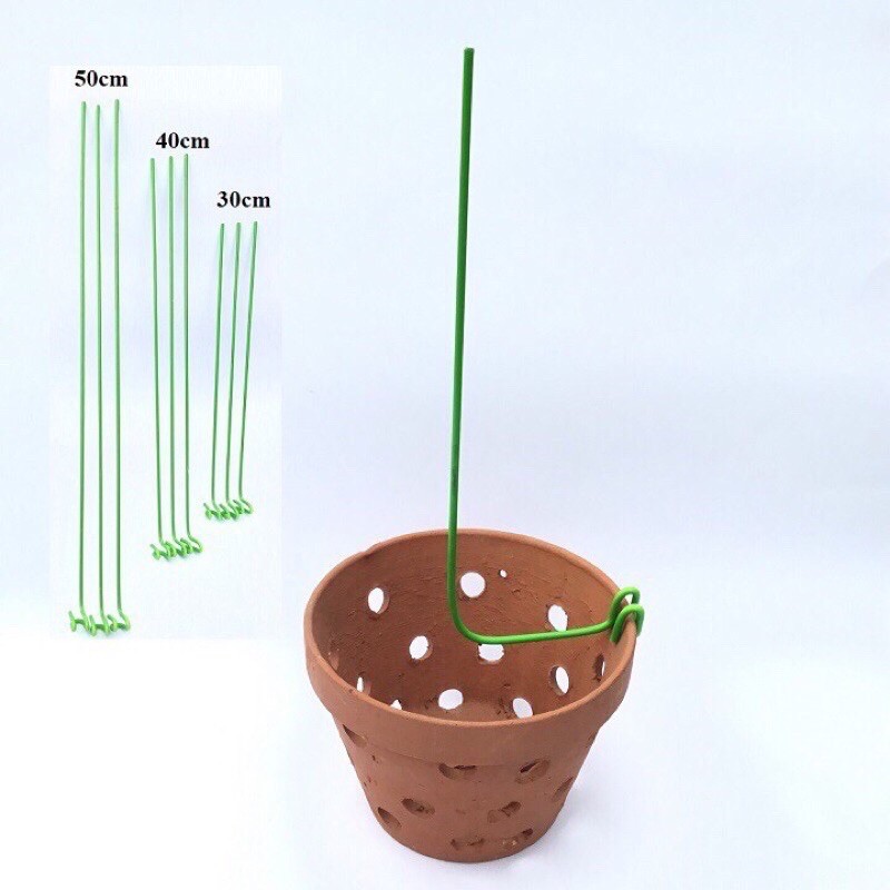 Set 10 que nẹp chậu dài 30cm
