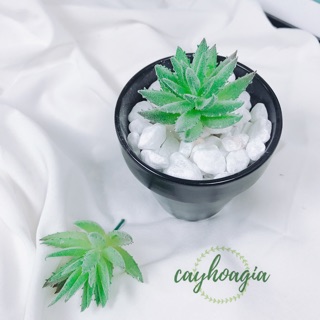Cây nhựa cây giả - xương rồng gai nhỏ 1130