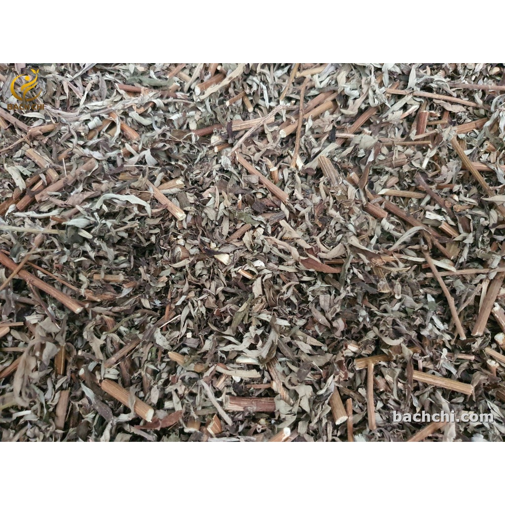 Điếu ngải cứu tự nhiên Bách Chi
