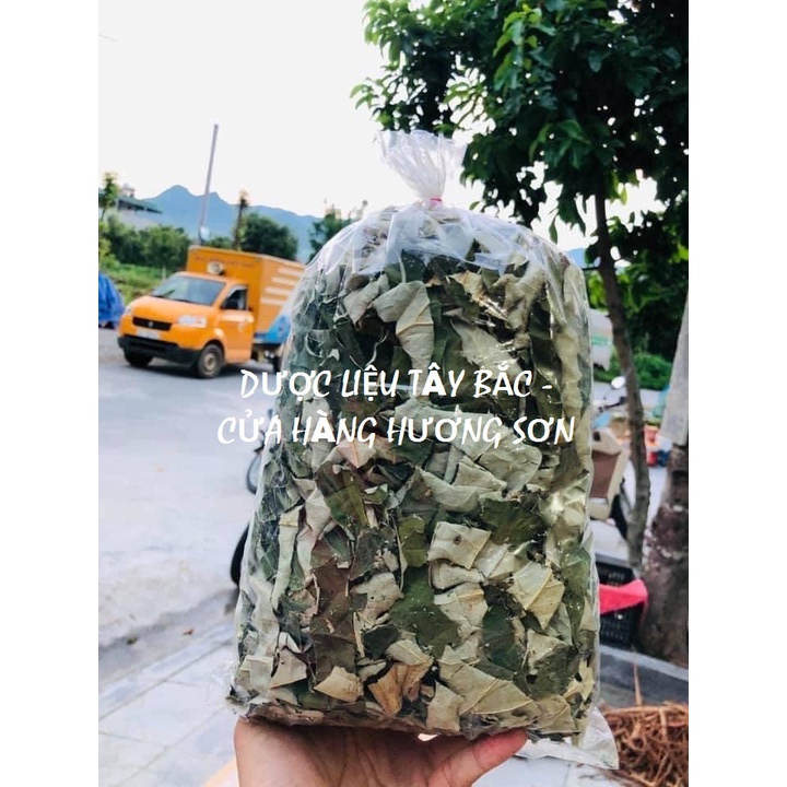 LÁ SEN NẾP XANH PHƠI KHÔ THƠM LOẠI 1 - THẢO DƯỢC CHO NGƯỜI GIẢM CÂN (1KG)