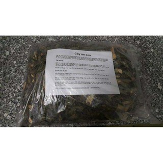 Cây An Xoa 500g Thảo Dược Việt Nam