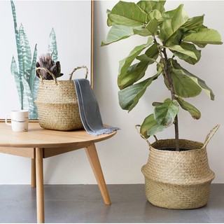 Giỏ cói tròn trang trí, đựng cây nhiều size