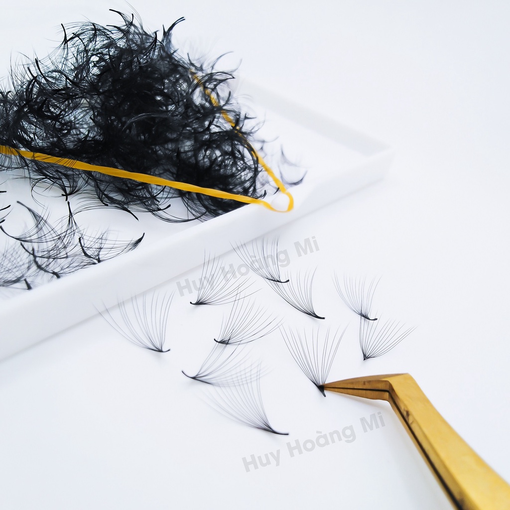 Mi Fan 14D dày 0.05- (C CC,D)- Hộp 500 Fan - Mi Volume - Dụng cụ nối mi - Huy Hoàng Mi