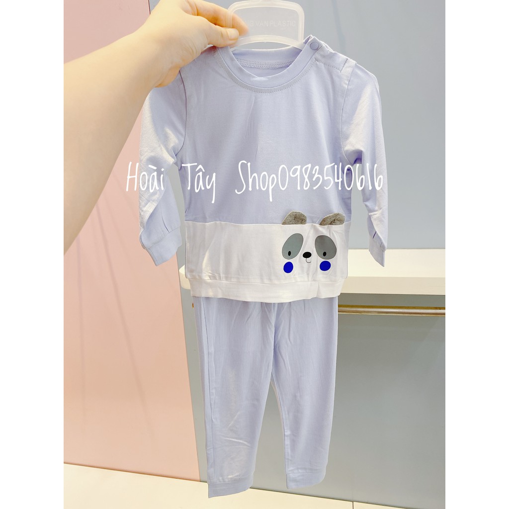 BỘ DÀI GẤU TRÚC