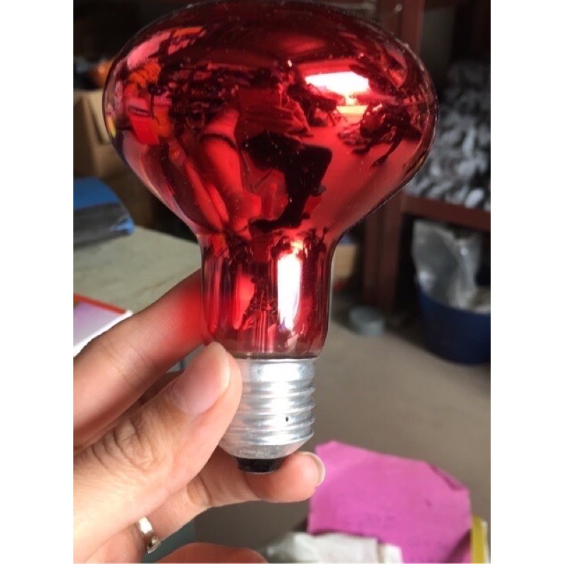 Bóng đèn sưởi gia cầm 45W và 75W