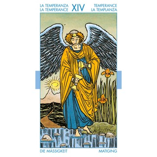 Bộ Bài Universal Tarot (Guu Tarot Shop)