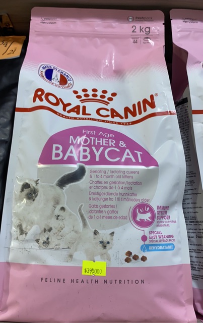 Thức Ăn Royal CANIN Mother &amp;Baby Cat 2KG dành Cho Mèo Mẹ mới sinh và Mèo Con