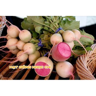Hạt Giống Củ Cải Ruột Đỏ - 10 Hạt