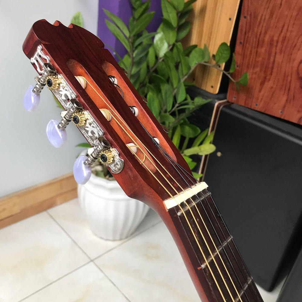 Đàn guitar classic bấm nhẹ tay - Có ty chống cong bảo vệ cần lâu năm - Bảo hành 1 năm