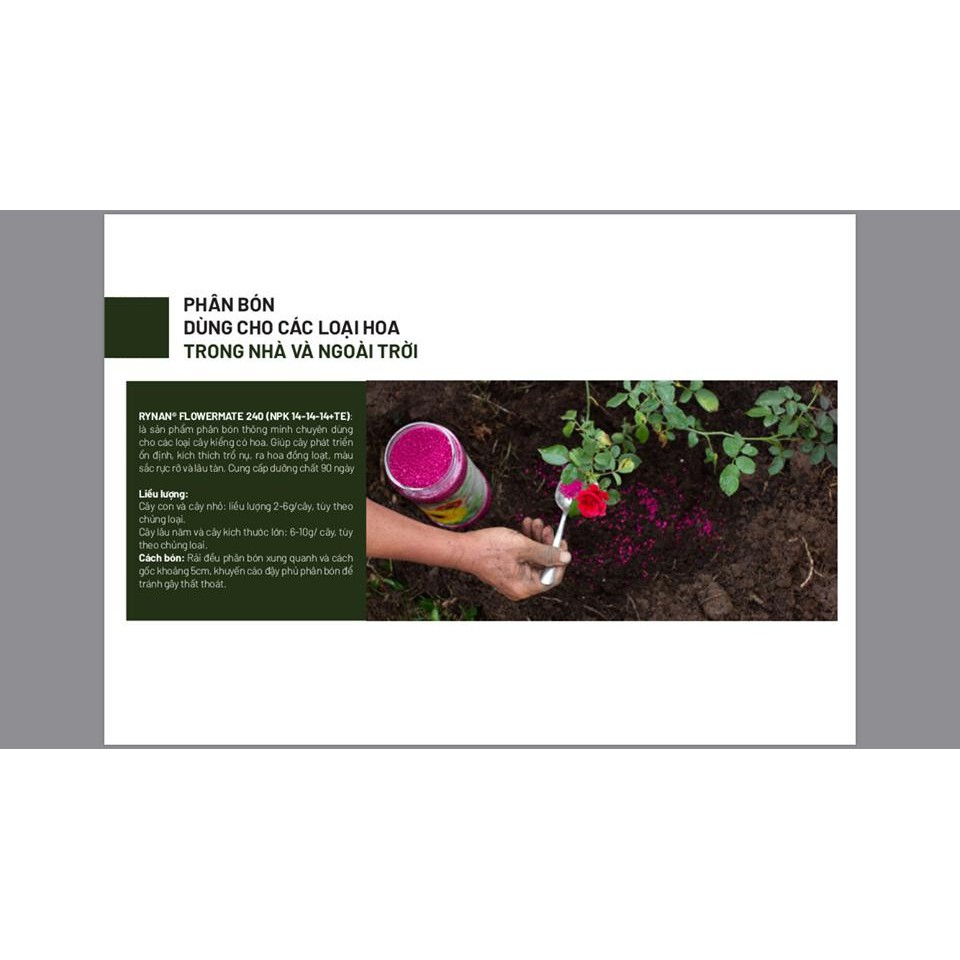 RYNAN FLOWERMATE 240 hũ 150gr - NPK 14-14-14+TE dùng vào giai đoạn cây trưởng thành giúp cây phát triển toàn diện