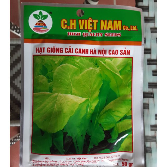 Hạt giống cải canh hà nội cao sản