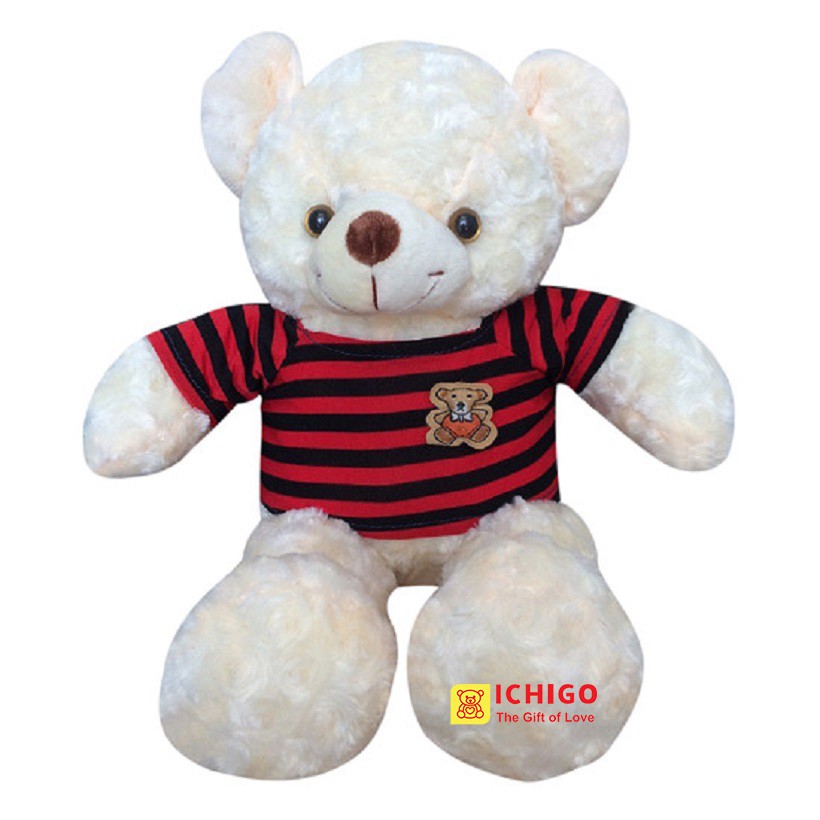 GẤU BÔNG TEDDY Cao Cấp Size 50Cm ĐẢM BẢO 100% GÒN màu kem