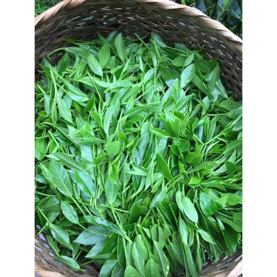 Trà Thái Nguyên ( gói 100g ) | BigBuy360 - bigbuy360.vn
