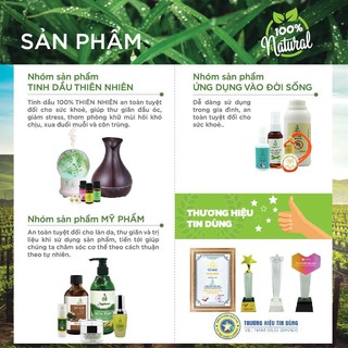 Bộ khuếch tán tinh dầu Cam Ngọt nguyên chất 5ml Julyhouse khử mùi, thơm phòng và thư giãn