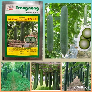 Hạt giống bí sặt trang nông gói 2gram