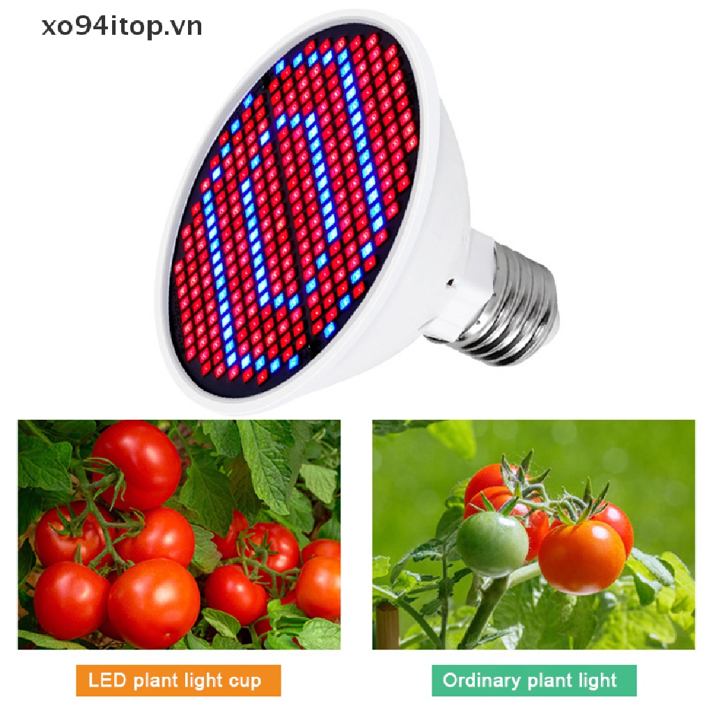 Đèn Led Kích Thích Tăng Trưởng Thủy Canh XOITOP 300LED MR16 220V