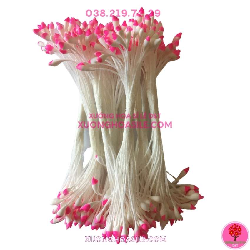 10 BÓ NHỊ BỘT TRÒN 2 MÀU