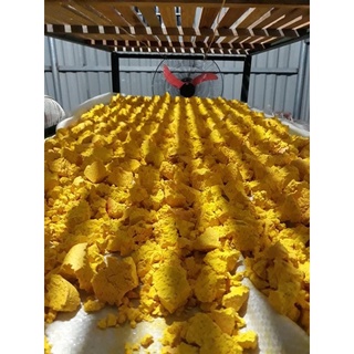 Tinh bột nghệ đỏ nhà làm