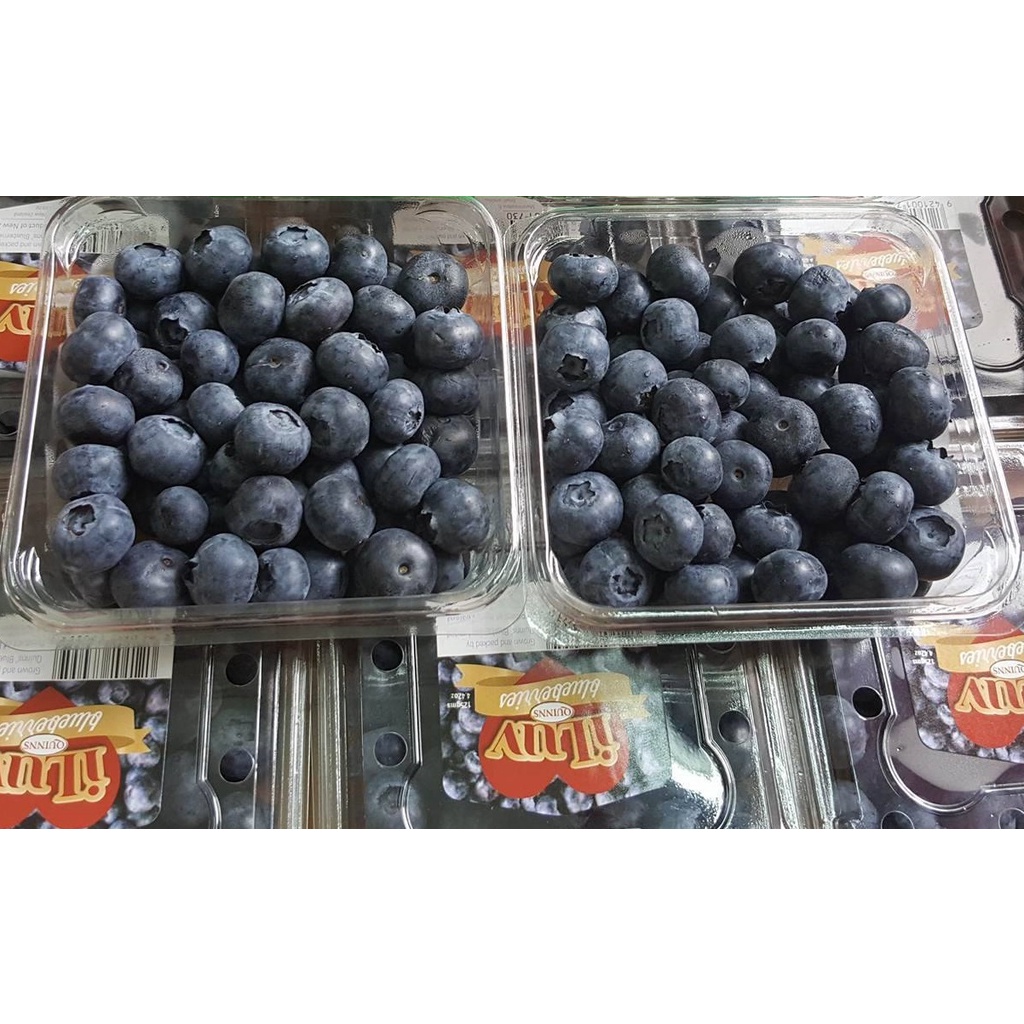 1 Hộp Việt quất đông lạnh 500gr NTFood - Nhất Tín Food
