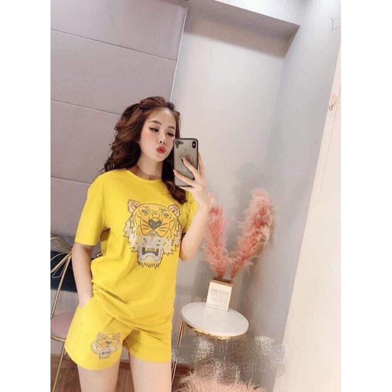 [VIDEO QUAY THẬT] Đồ bộ thun nữ cotton đẹp
