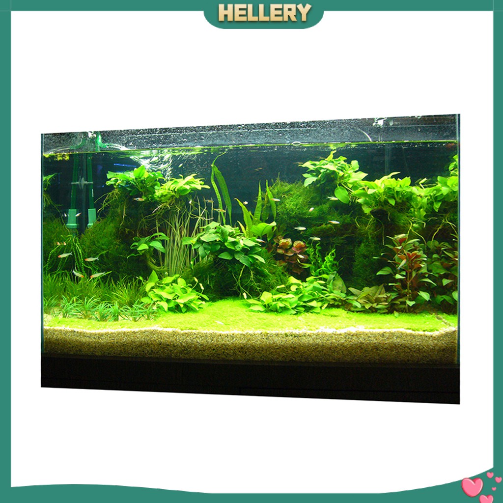 Giấy Dán Tường 3D Độ Nét Cao Trang Trí Bể Cá