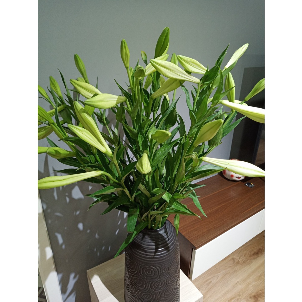 Bình Hoa Lọ Hoa Dáng Chuông Cao 35cm, 36cm Cắm Đào Lê Mận Đẹp Men Khô Gốm Sứ Bát Tràng -  Lynke Store