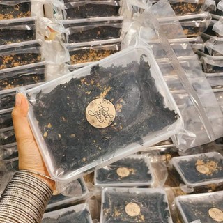 RONG BIỂN CHẤY TỎI 150g 50k