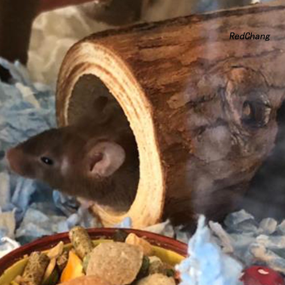 Đường hầm đồ chơi thú vị cho chuột hamster