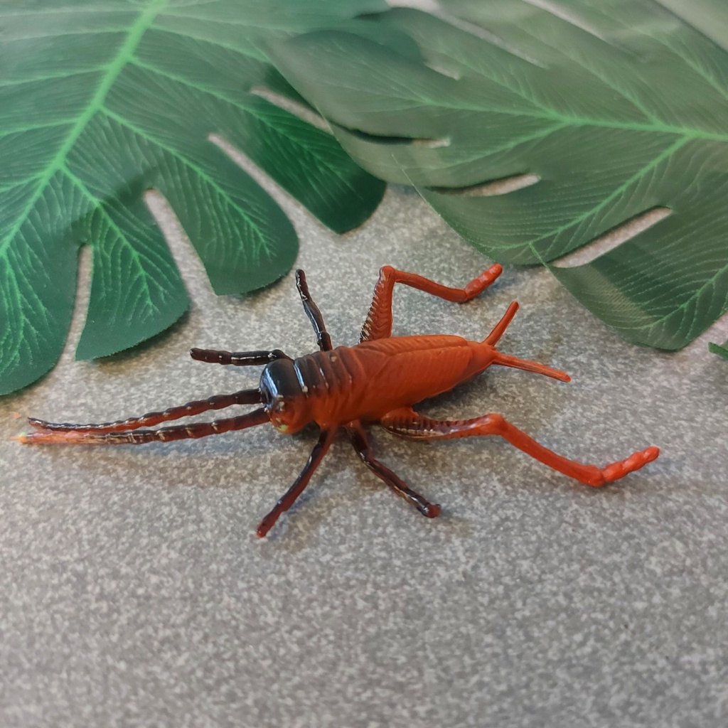 Con Côn Trùng Giả Kiến Nhện Sâu Đồ Chơi Cho Bé 000674