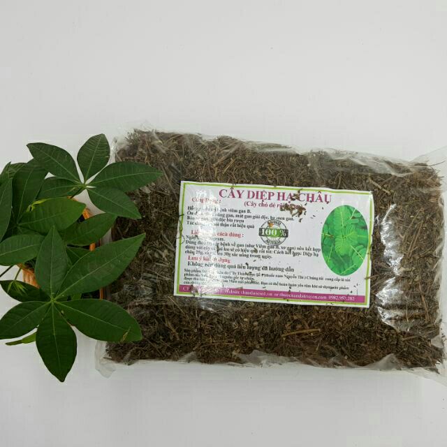 1kg chó đẻ răng cưa