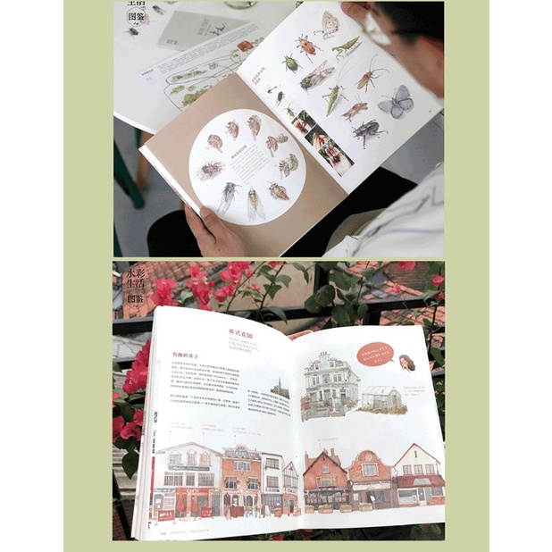 Tập ABOOK vẽ Màu nước Tĩnh vật, Cuộc sống thường nhật