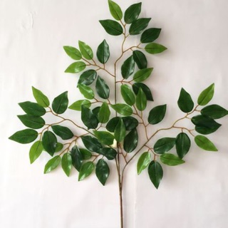 Cành Lá Si Giả - Hàng xịn