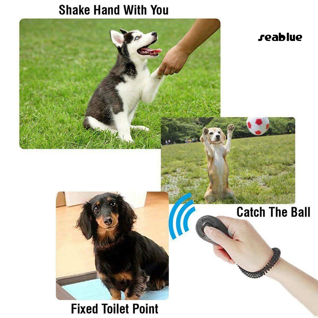 Dụng cụ hỗ trợ huấn luyện thú cưng hình oval bằng ABS