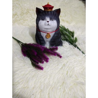 [SIÊU RẺ] ỐNG MÈO BỎ TIỀN TIẾT KIỆM NHỰA THÔNG 5D CAO CẤP [SIÊU HOT]