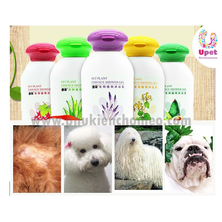 Sữa tắm Joyce&amp;Dolls Hương Nước Hoa Pet Plant Essence Shower Gel 100ml chiết xuất từ thực vật an toàn cho chó mèo