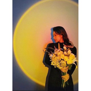 Đèn màu lung linh chụp hình sống ảo, quay tiktok, chiếu hình cầu vòng mặt trời TT123