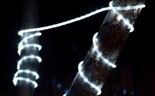 Cuộn led 100m trang trí mã 3014