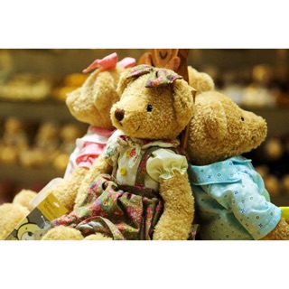 Gấu bông Teddy Hàn Museum hàng Hàn cao cấp