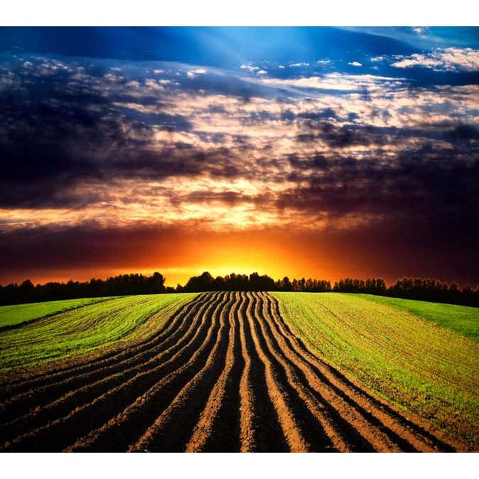 Tranh dán tường Việt Nam 3D SIÊU RẺ, KHÔNG PHAI MÀU, LAU NƯỚC THOẢI MÁI, SỬ DỤNG LÂU DÀI