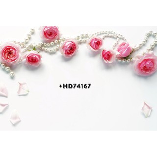 Phông nền 3D chụp ảnh mỹ phẩm, túi xách
