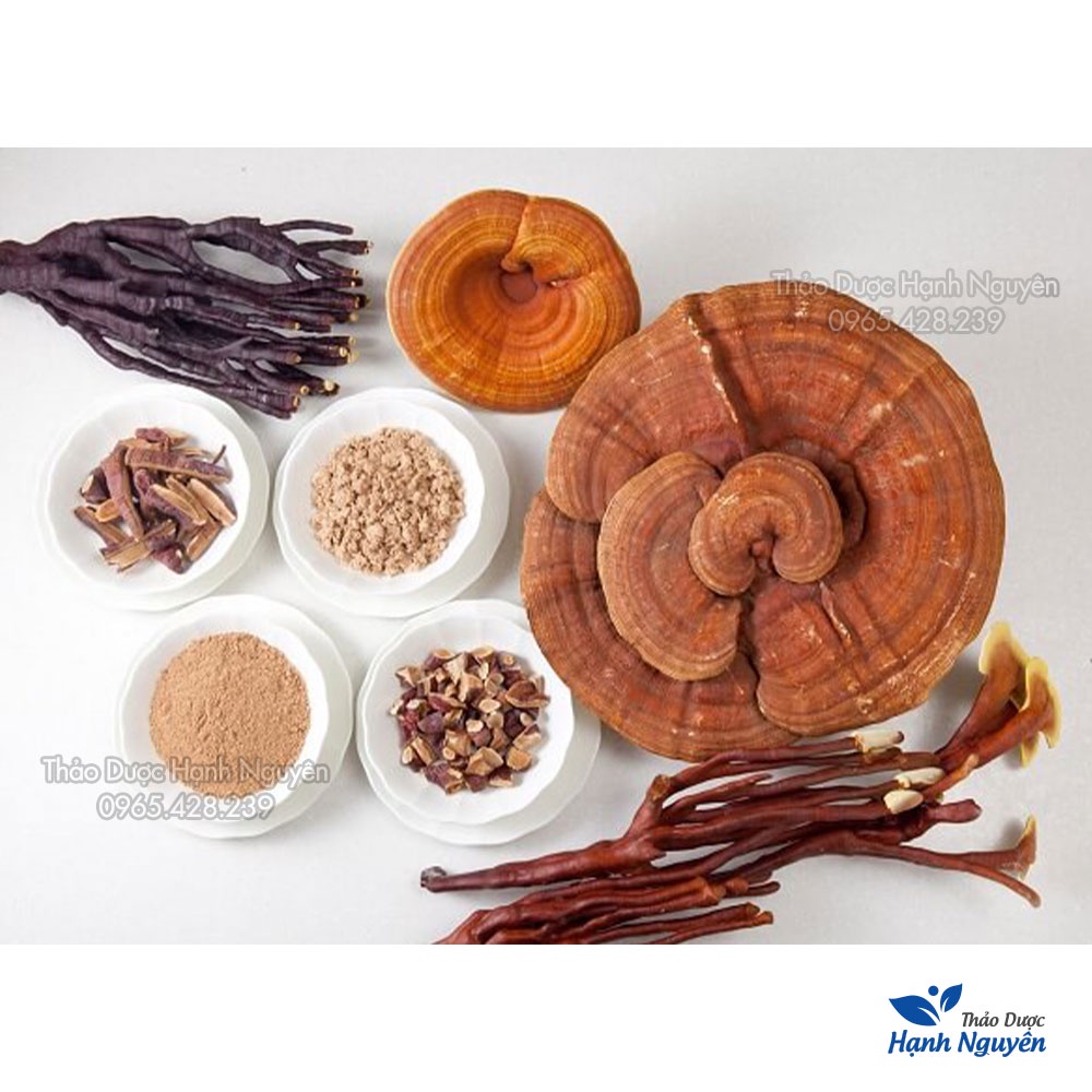 Viên Sâm Nhung Linh Chi Đông Trùng (Hộp 120 viên) - Thảo Dược Hạnh Nguyên