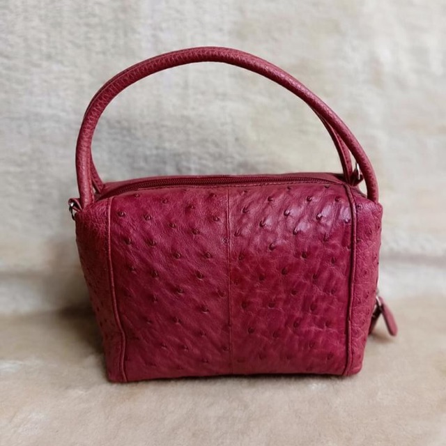 Túi Da Đà Điểu si tuyển