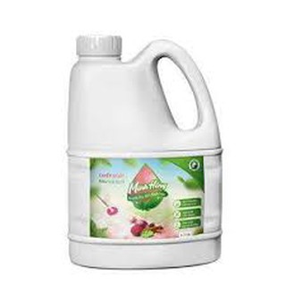Nước lau sàn sinh học Minh Hồng 1,7l