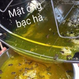 Mật ong bạc hà ( đặc sản cao nguyên tỉnh hà giang ) đóng 500ml