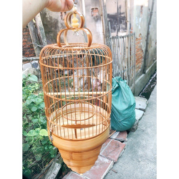 Lồng Khuyên Trơn Chân Cao Sàn Tre Nan Khít Chất Liệu Trúc Già Bền Đẹp Đầy Đủ Phụ Kiện, Lồng Chim Khuyên Cao Cấp