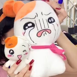 Gấu bông B