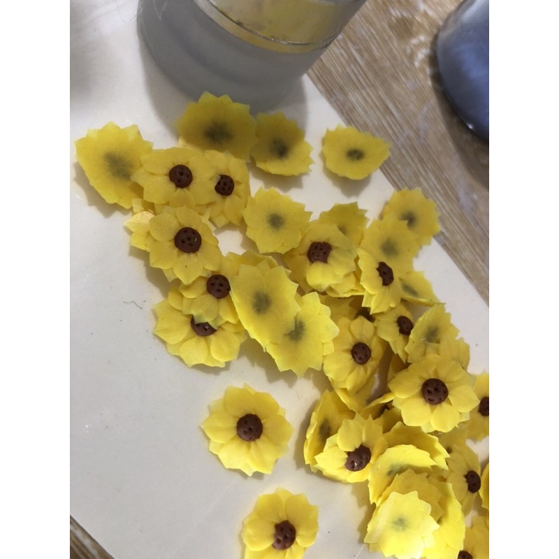 Hoa Móng Chân - Hướng Dương Nhuỵ Bi Nhiều Cánh